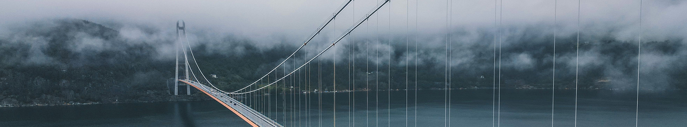 large expansion bridge